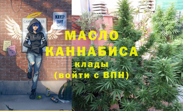 молекула духа Балахна