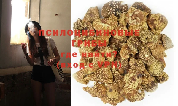 молекула духа Балахна