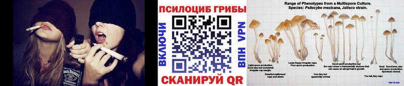 Галлюциногенные грибы прущие грибы  кракен вход  Александровское 